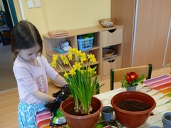 IMG_20250319_074219