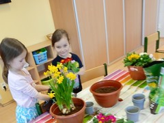 IMG_20250319_074248_1