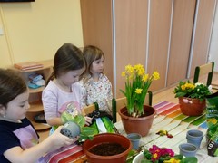 IMG_20250319_074330_1