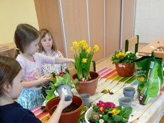 IMG_20250319_074333
