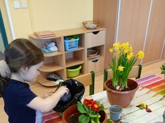 IMG_20250319_074418