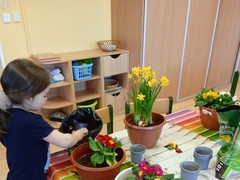 IMG_20250319_074420_1