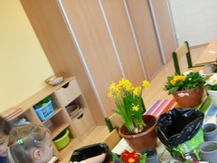 IMG_20250319_074635