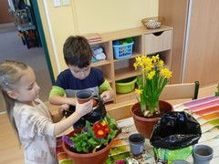 IMG_20250319_074648_1