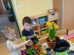 IMG_20250319_074652