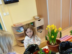 IMG_20250319_074918_1