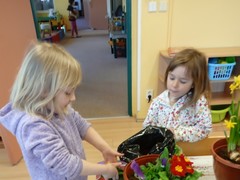 IMG_20250319_074923