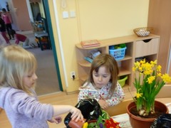 IMG_20250319_075009