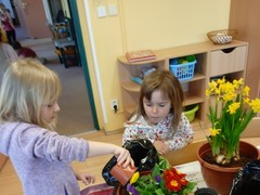 IMG_20250319_075010_1