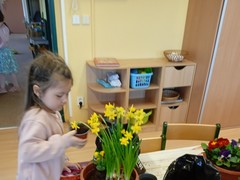 IMG_20250319_075817_1