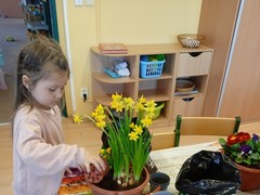 IMG_20250319_075819_1