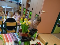 IMG_20250319_075839_1