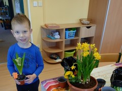 IMG_20250319_080119_1