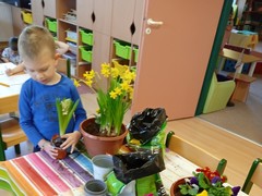 IMG_20250319_080150_1