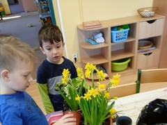 IMG_20250319_080238