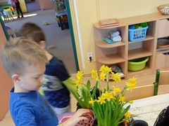 IMG_20250319_080239