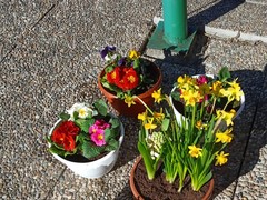 IMG_20250319_093141