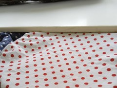 IMG_20250117_102108_1