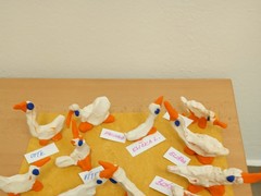 IMG_20241111_104940_1