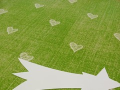 IMG_20250108_090934_1