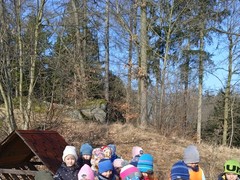 IMG_20250205_103921_1