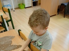 IMG_20250402_072906_1