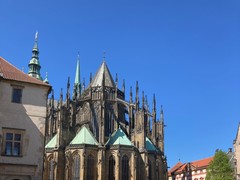 IMG_3541