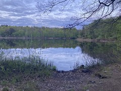 IMG_8734