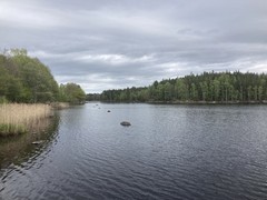 IMG_8728