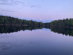 IMG_8737