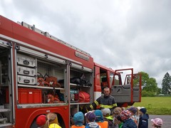 IMG_20250529_103146