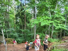 IMG_20250625_111906