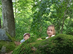 IMG_20250625_111953