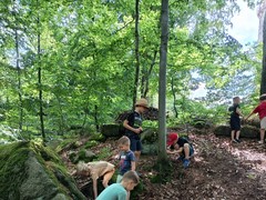 IMG_20250625_112004