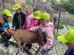 Výlet 5.B a 2.tř. na LIBERECKÉ VÝŠINĚ